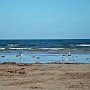 Port Aransas